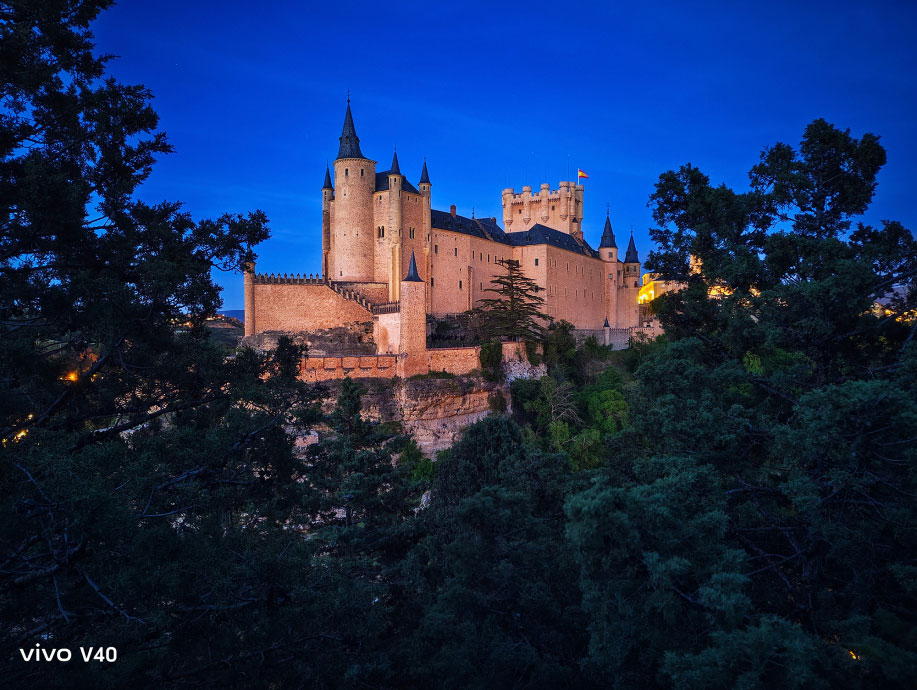 образец фото, снятого на vivo V40 с ультрачувствительной OIS-камерой 50 Мп