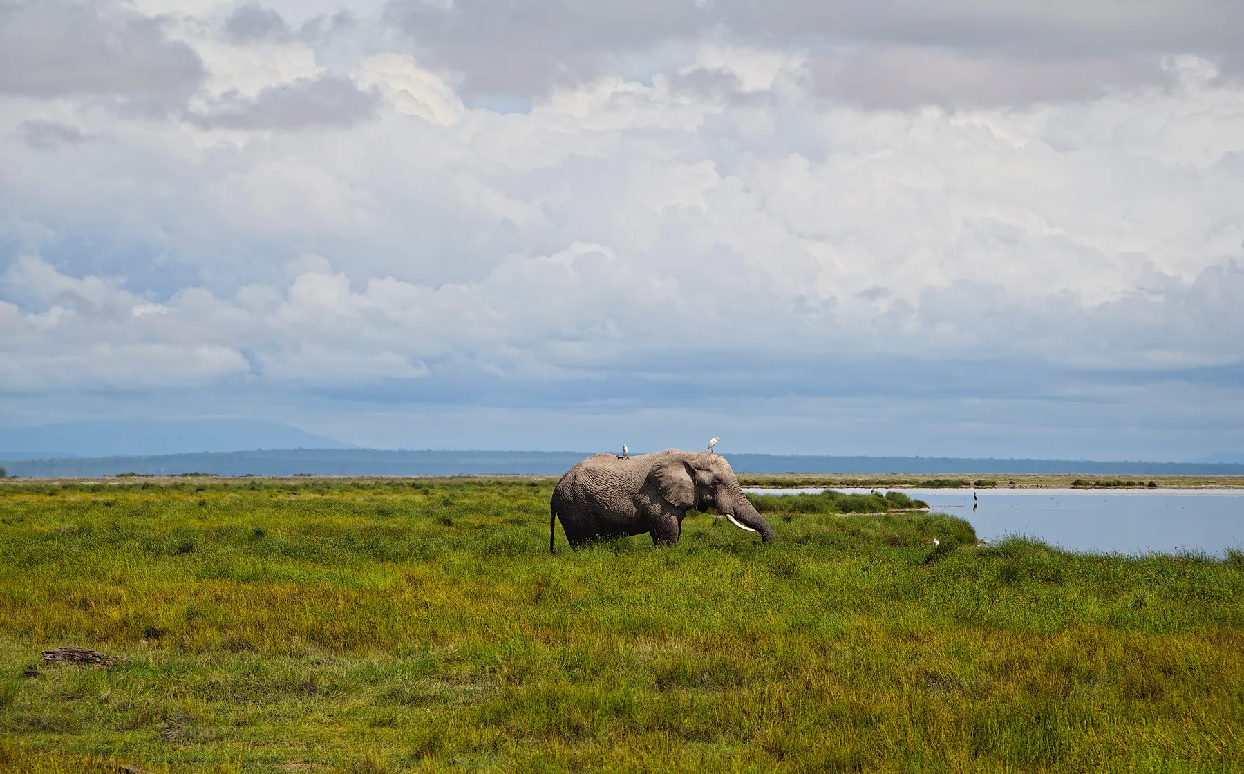 photo taken using vivo X300 Ultra with vivo ZEISS Telephoto Extender Gen 2